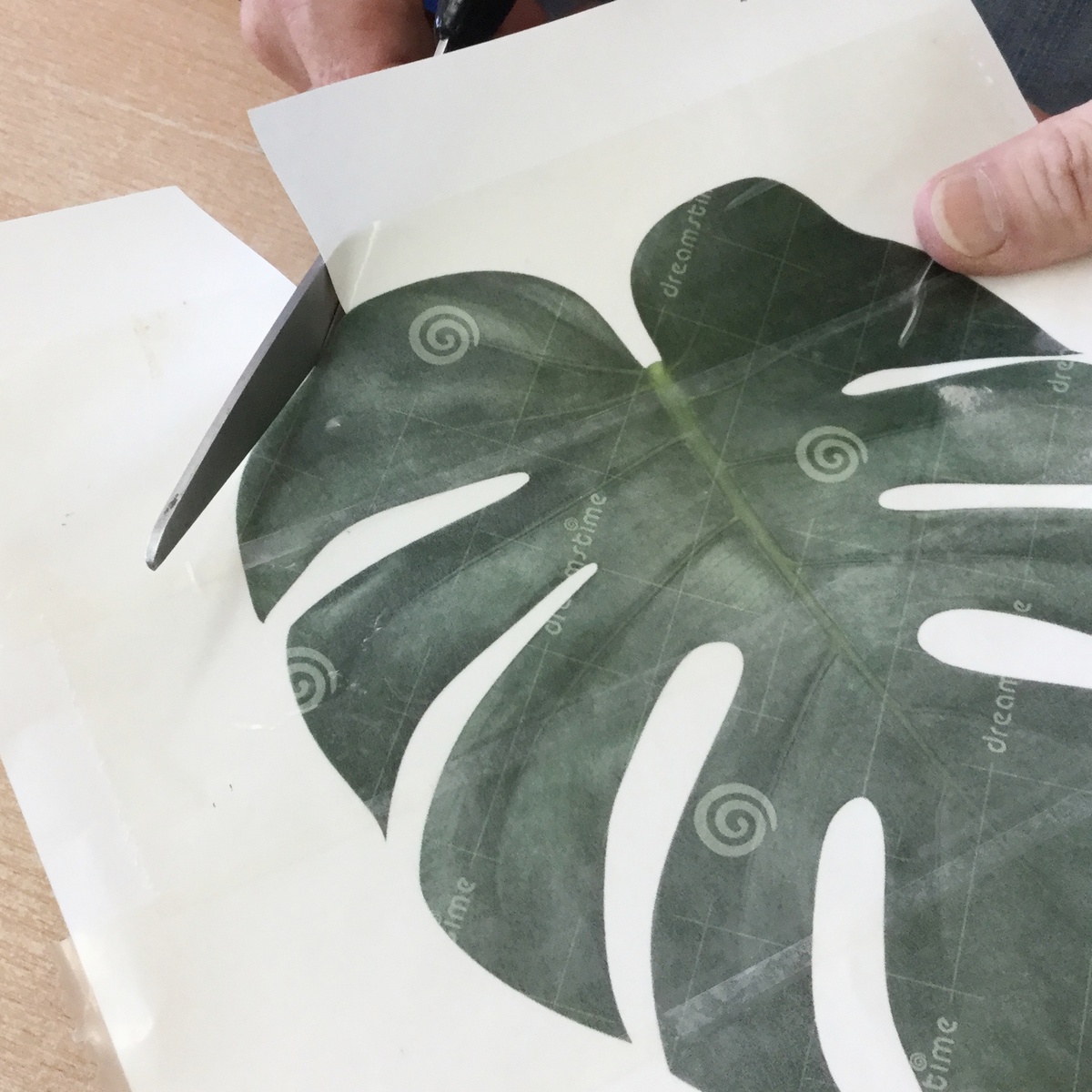 Cut out the leaf template